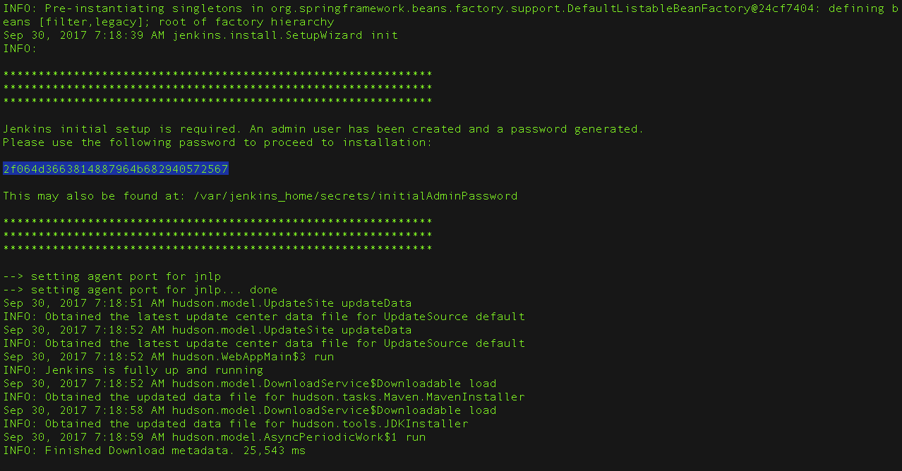 setup-jenkins-02-copying-initial-admin-password